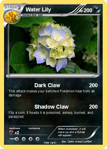 Pokemon Water Lily