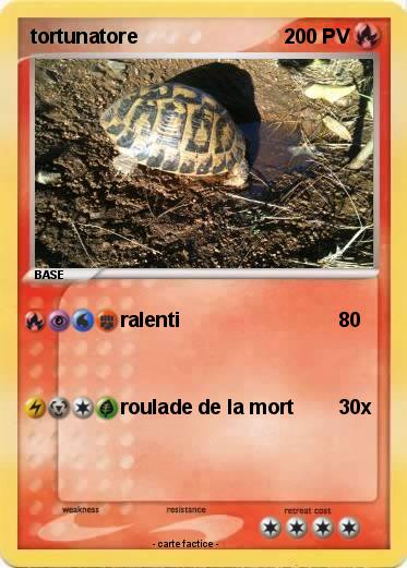 Pokemon tortunatore