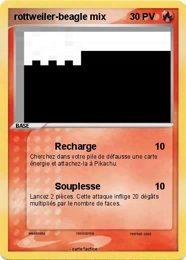 Pokemon rottweiler-beagle mix