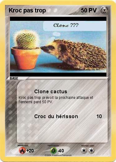 Pokemon Kroc pas trop