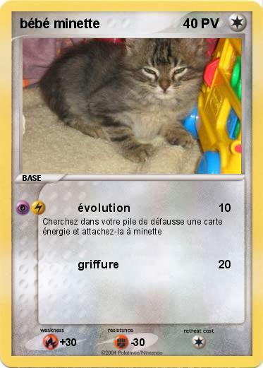 Pokemon bébé minette