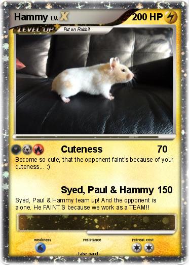 Pokemon Hammy