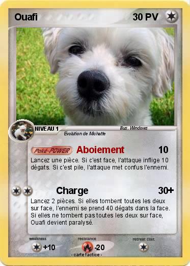 Pokemon Ouafi