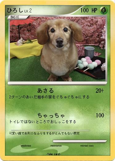Pokemon ひろし