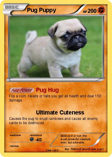 Pokemon Pug Puppy