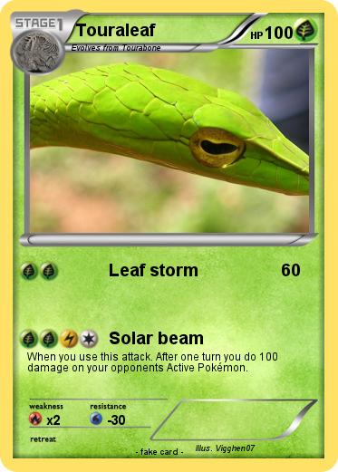 Pokemon Touraleaf