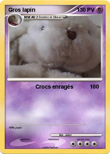 Pokemon Gros lapin