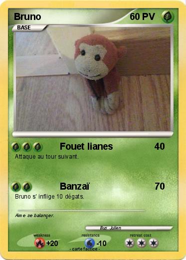 Pokemon Bruno