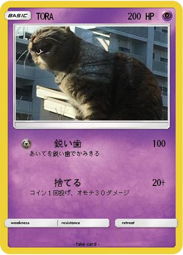 Pokemon TORA