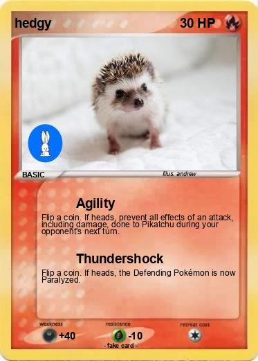 Pokemon hedgy