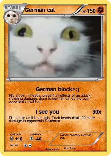 Pokemon German cat