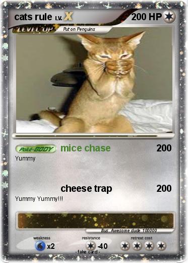 Pokemon cats rule