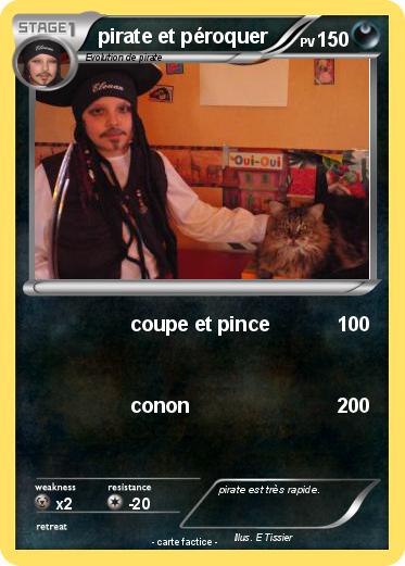 Pokemon pirate et péroquer