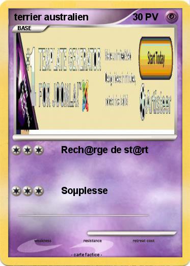 Pokemon terrier australien