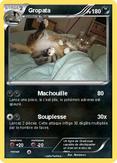 Pokemon Gropata