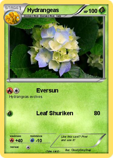 Pokemon Hydrangeas
