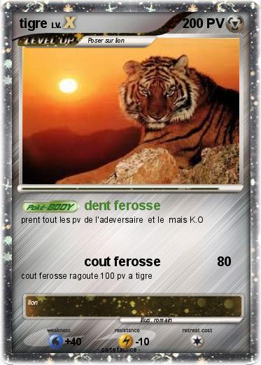 Pokemon tigre