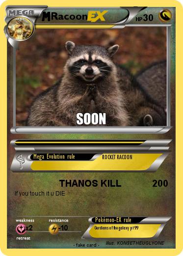 Pokemon Racoon