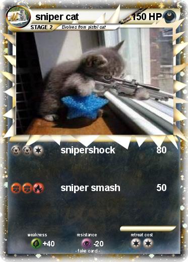 Pokemon sniper cat
