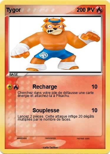 Pokemon Tygor