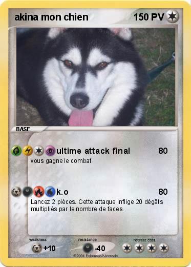 Pokemon akina mon chien