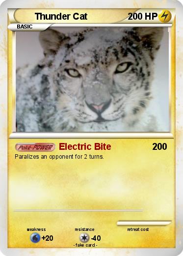 Pokemon Thunder Cat