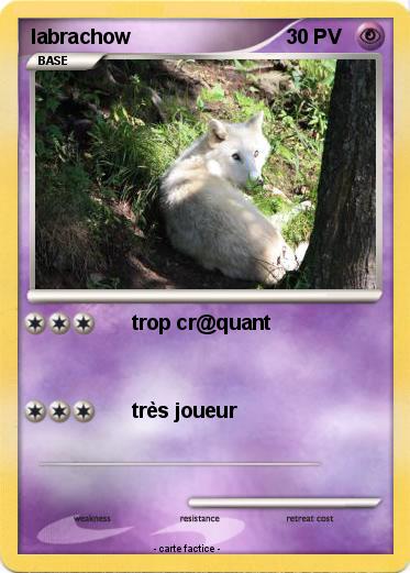 Pokemon labrachow