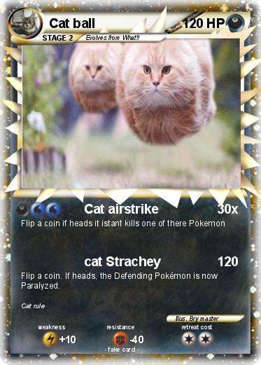 Pokemon Cat ball
