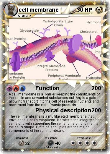 Pokemon cell membrane