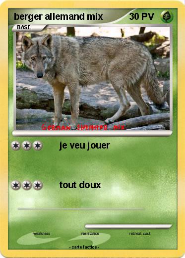 Pokemon berger allemand mix
