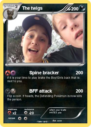 Pokemon The twigs