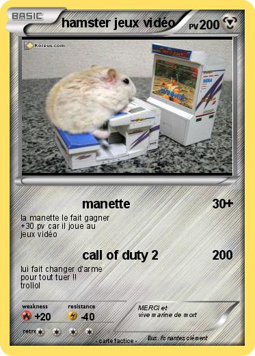 Pokemon hamster jeux vidéo