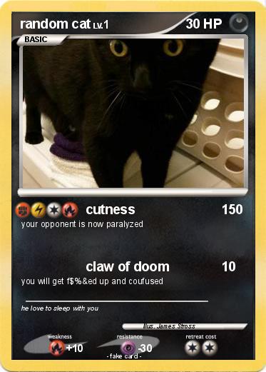 Pokemon random cat