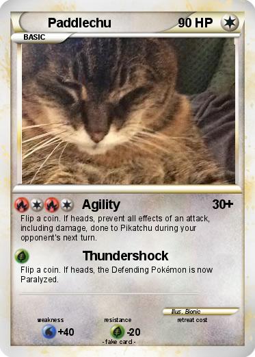 Pokemon Paddlechu