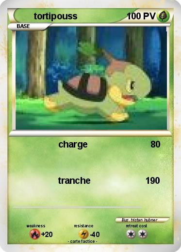 Pokemon tortipouss