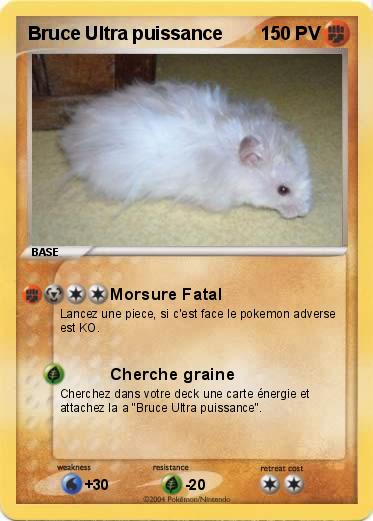 Pokemon Bruce Ultra puissance