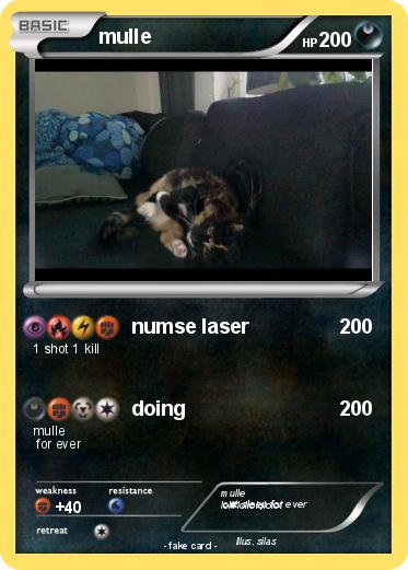Pokemon mulle