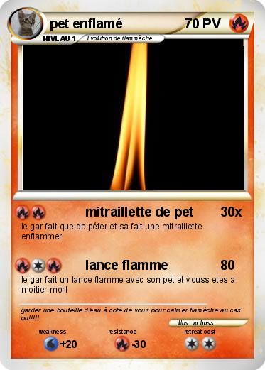 Pokemon pet enflamé