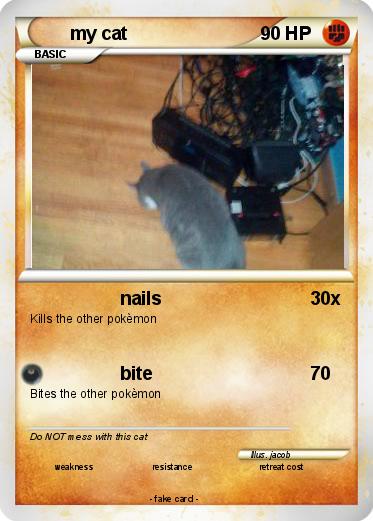 Pokemon my cat