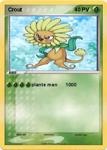 Pokemon Crout
