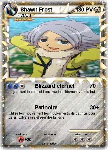 Pokemon Shawn Frost