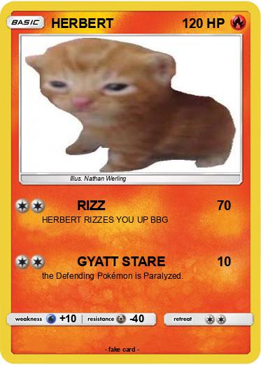 Pokemon HERBERT