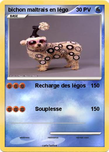 Pokemon bichon maltrais en légo