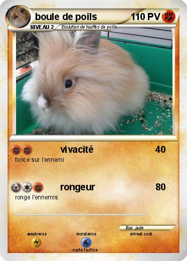 Pokemon boule de poils