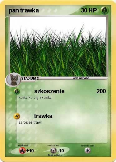 Pokemon pan trawka