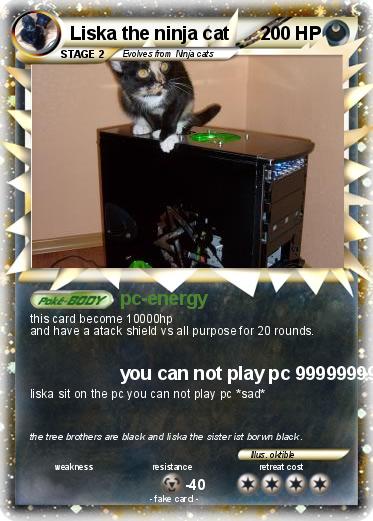 Pokemon Liska the ninja cat