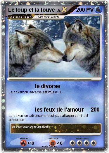 Pokemon Le loup et la louve