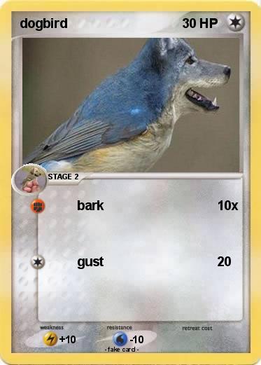 Pokemon dogbird