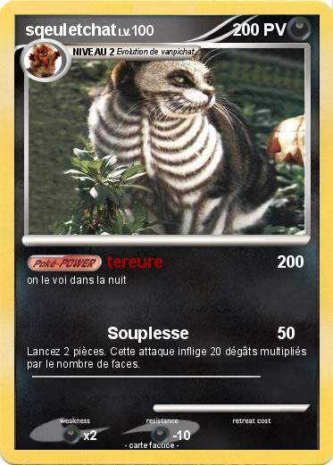 Pokemon sqeuletchat