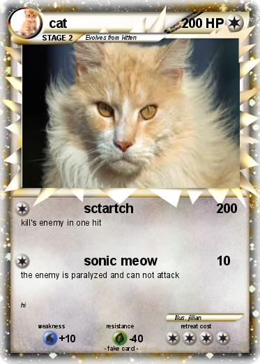 Pokemon cat